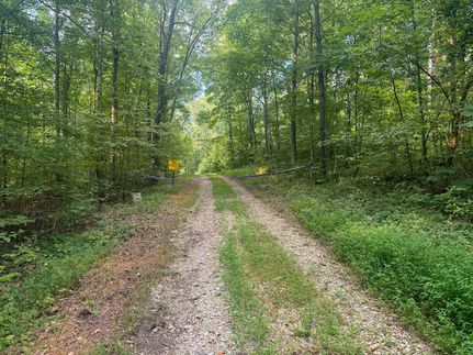 Timberland Property for sale in Bollinger County, Missouri