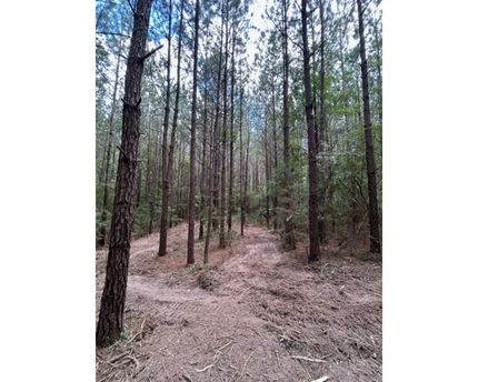 Property for sale in Simpson County, Mississippi
