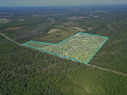 Undeveloped Land for sale in Holmes County, Florida