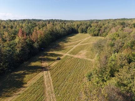 Timberland Property for sale in Hardeman County, Tennessee