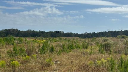 Property for sale in Screven County, Georgia