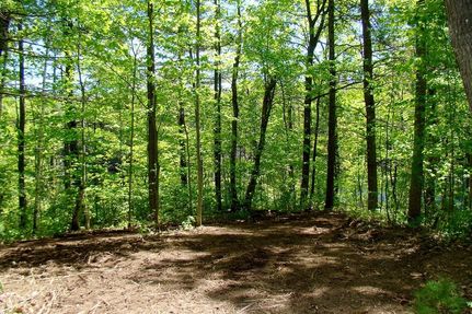 Ranch Property for sale in Price County, Wisconsin