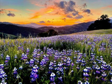 Commercial Property for sale in Humboldt County, California