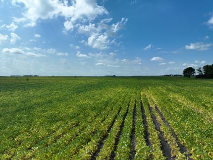 Farm Property for sale in Swift County, Minnesota