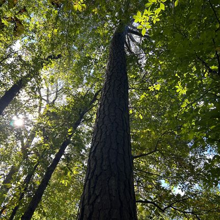 Farm Property for sale in Wake County, North Carolina