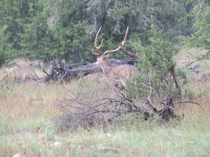 Farm Property for sale in Kimble County, Texas