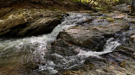 Undeveloped Land for sale in Wilkes County, North Carolina