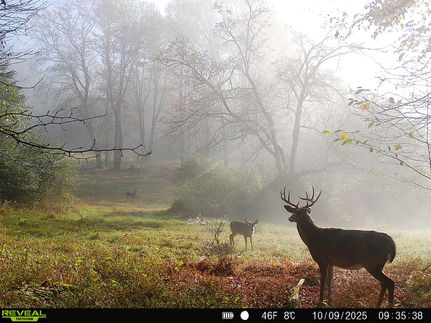 Farm Property for sale in Cameron County, Pennsylvania