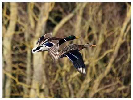 Farm Property for sale in Jackson County, Arkansas