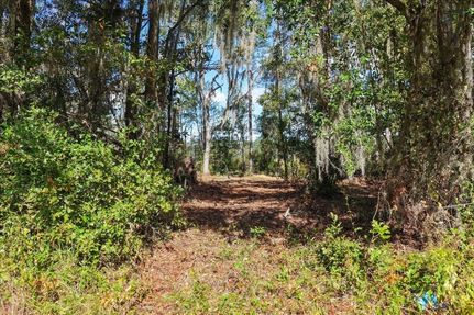 Waterfront Property for sale in Madison County, Florida