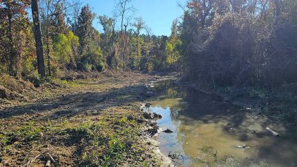 Farm Property for sale in Carroll County, Mississippi