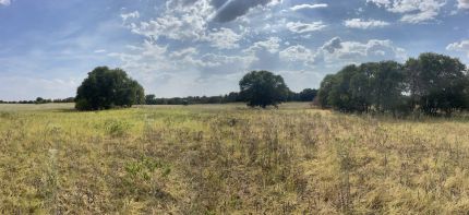 Ranch Property for sale in Jones County, Texas
