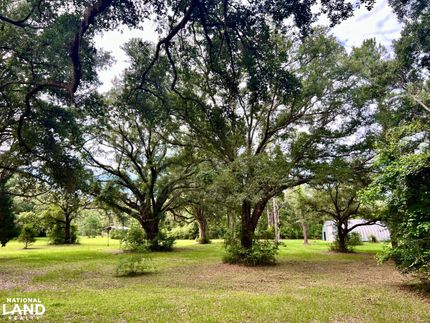 Hunting Land for sale in Washington County, Florida