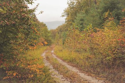 Property for sale in Morgan County, Tennessee