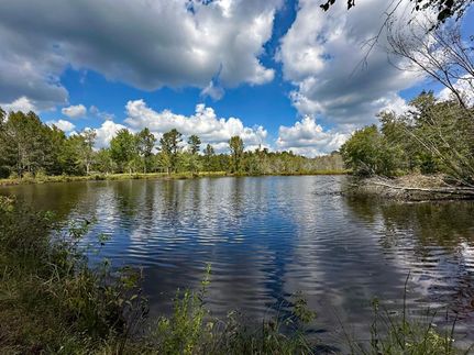 Property for sale in Burke County, Georgia