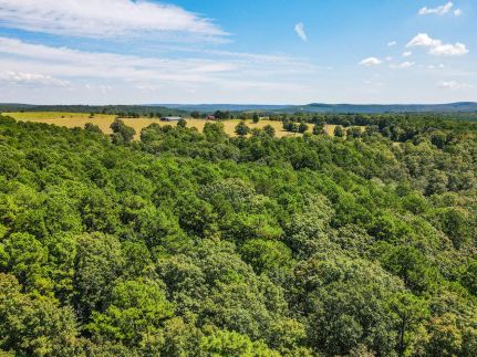 Recreational Property for sale in Stone County, Arkansas