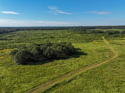Ranch Property for sale in Angelina County, Texas