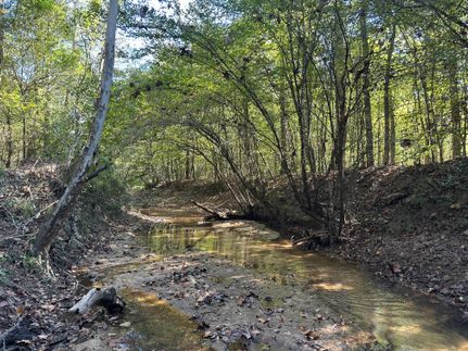 Timberland Property for sale in Clarke County, Alabama