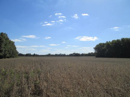 Property for sale in Vigo County, Indiana