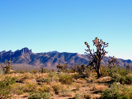 Ranch Property for sale in Mohave County, Arizona