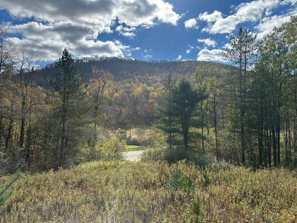 Property for sale in Potter County, Pennsylvania