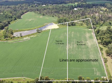 Hunting Land for sale in Coffee County, Georgia