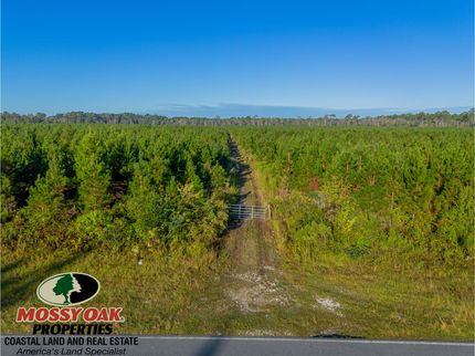 Undeveloped Land for sale in Ware County, Georgia