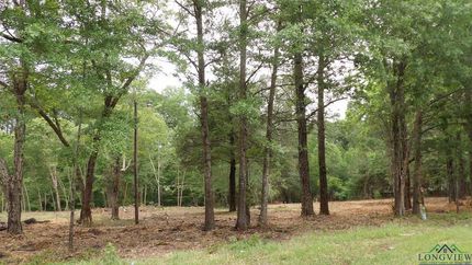 Ranch Property for sale in Harrison County, Texas