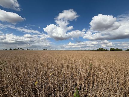 Property for sale in White County, Indiana