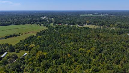 Ranch Property for sale in Geneva County, Alabama