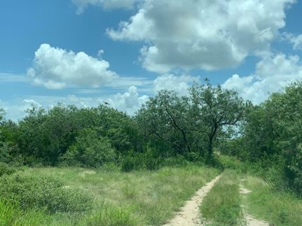 Ranch Property for sale in Duval County, Texas