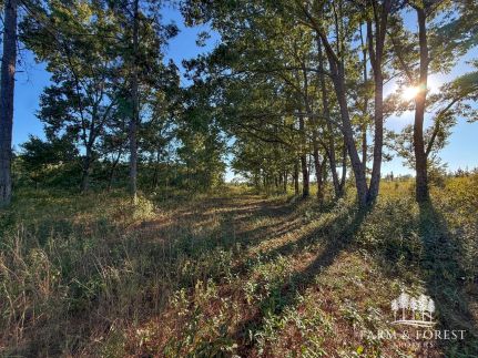 Property for sale in Geneva County, Alabama
