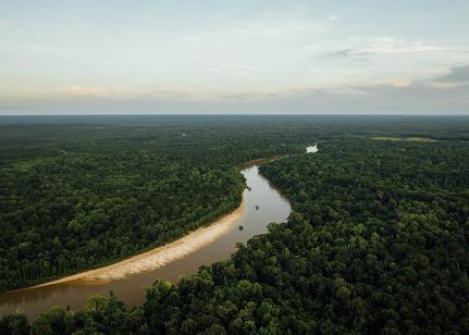 Farm Property in Greene County, Mississippi