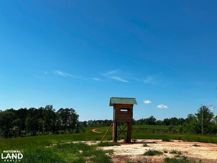 Property for sale in Jasper County, Mississippi