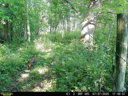 Recreational Property in Guthrie County, Iowa