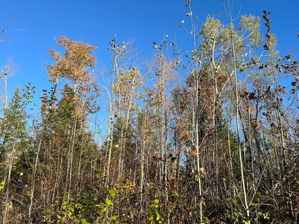 Property for sale in Douglas County, Wisconsin