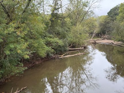 Undeveloped Land for sale in Cleburne County, Alabama