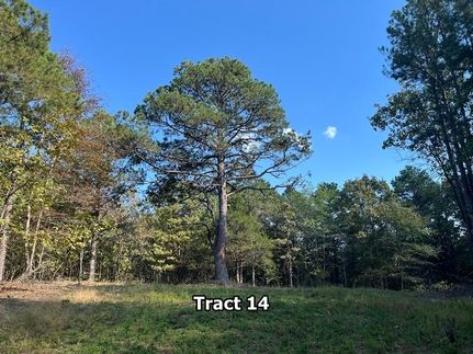 Property for sale in Pushmataha County, Oklahoma