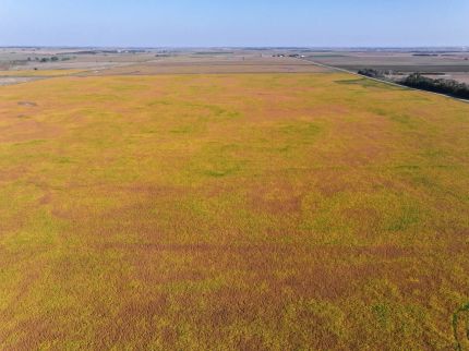 Farm Property for sale in Charles Mix County, South Dakota