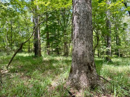 Property for sale in Lincoln County, Mississippi