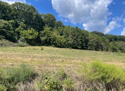 Property for sale in Giles County, Tennessee