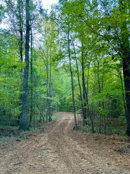 Property for sale in Wilkes County, Georgia