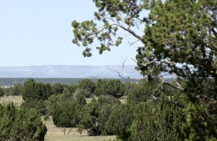 Ranch Property for sale in Guadalupe County, New Mexico