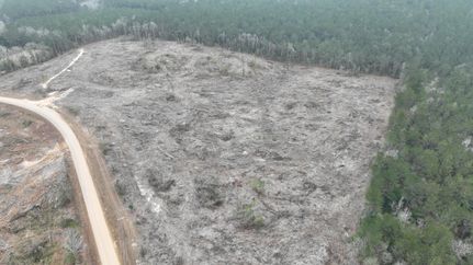 Property for sale in Wayne County, Mississippi