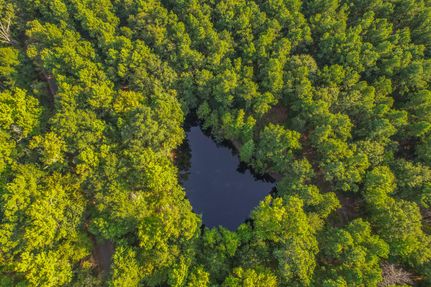 Timberland Property for sale in Henderson County, Texas