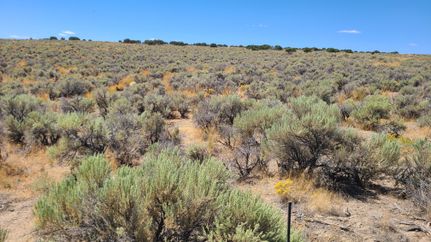 Undeveloped Land for sale in Elko County, Nevada