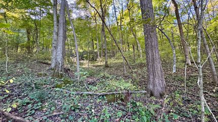 Farm Property for sale in Martin County, Indiana