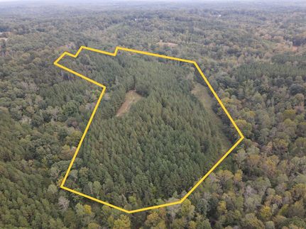 Timberland Property for sale in Caswell County, North Carolina