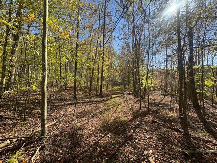 Hunting Land for sale in Susquehanna County, Pennsylvania