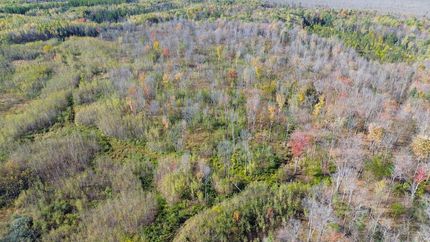 Timberland Property for sale in Lincoln County, Wisconsin